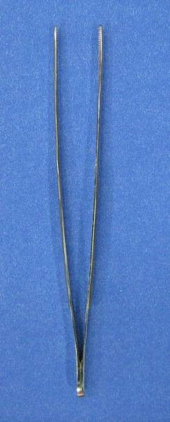 Forceps Dissecting - 16cm Plain